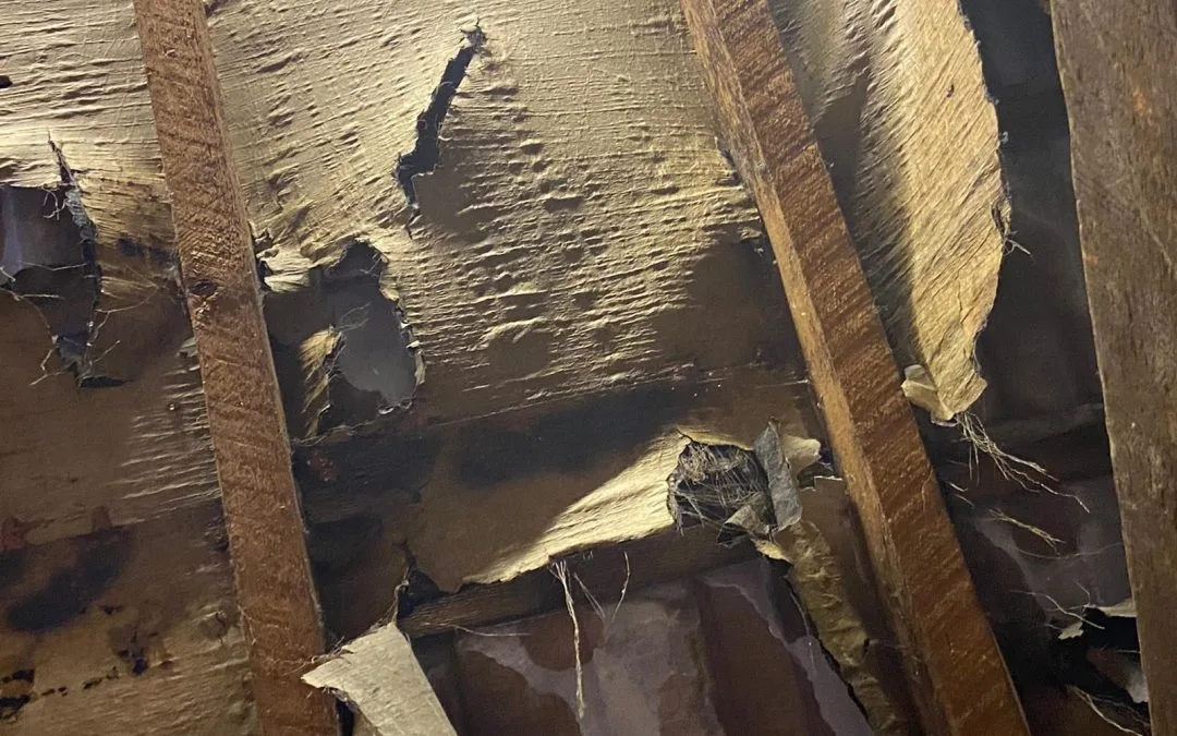 Replacing perished felt under roofing tiles
